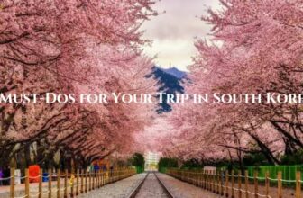 7 Must-Dos for Your Trip to South Korea